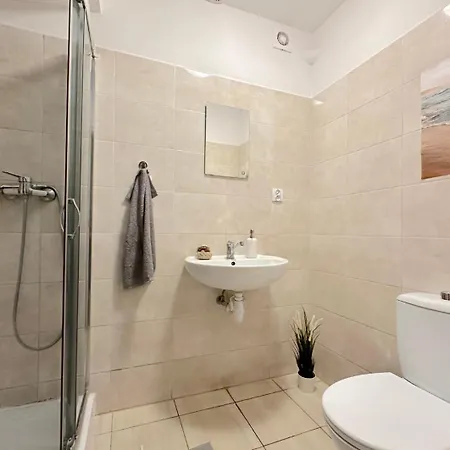 Dolphin Homestay Gdansk